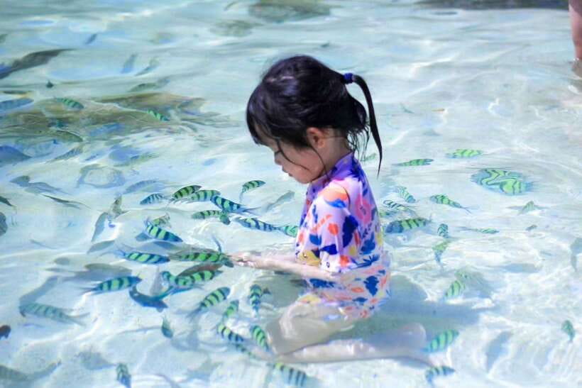 Phuket: 3 Khai Islands Relax & Snorkeling Half/Full Day Tour - Food, drinks, and what you need to pack