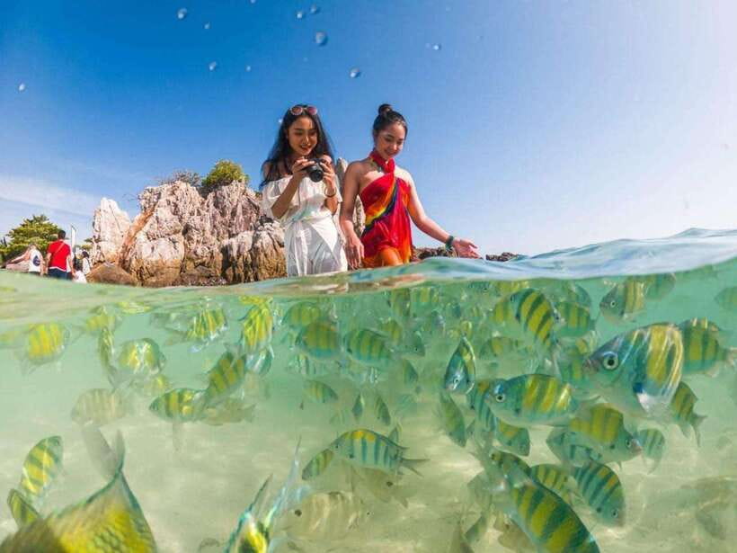 Phuket: 3 Khai Islands Snorkeling Tour - Khai Nai Island brings cats, sand, and the easiest beach time