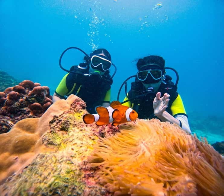 Phuket: 3 Khai Islands Speedboat Tour- Snorkeling & Relaxing - What this Phuket island trip is really like