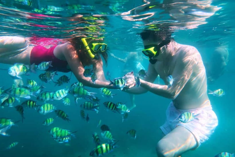 Phuket: 3 Khai Islands Speedboat Tour- Snorkeling & Relaxing - Guides, boat service, and group comfort