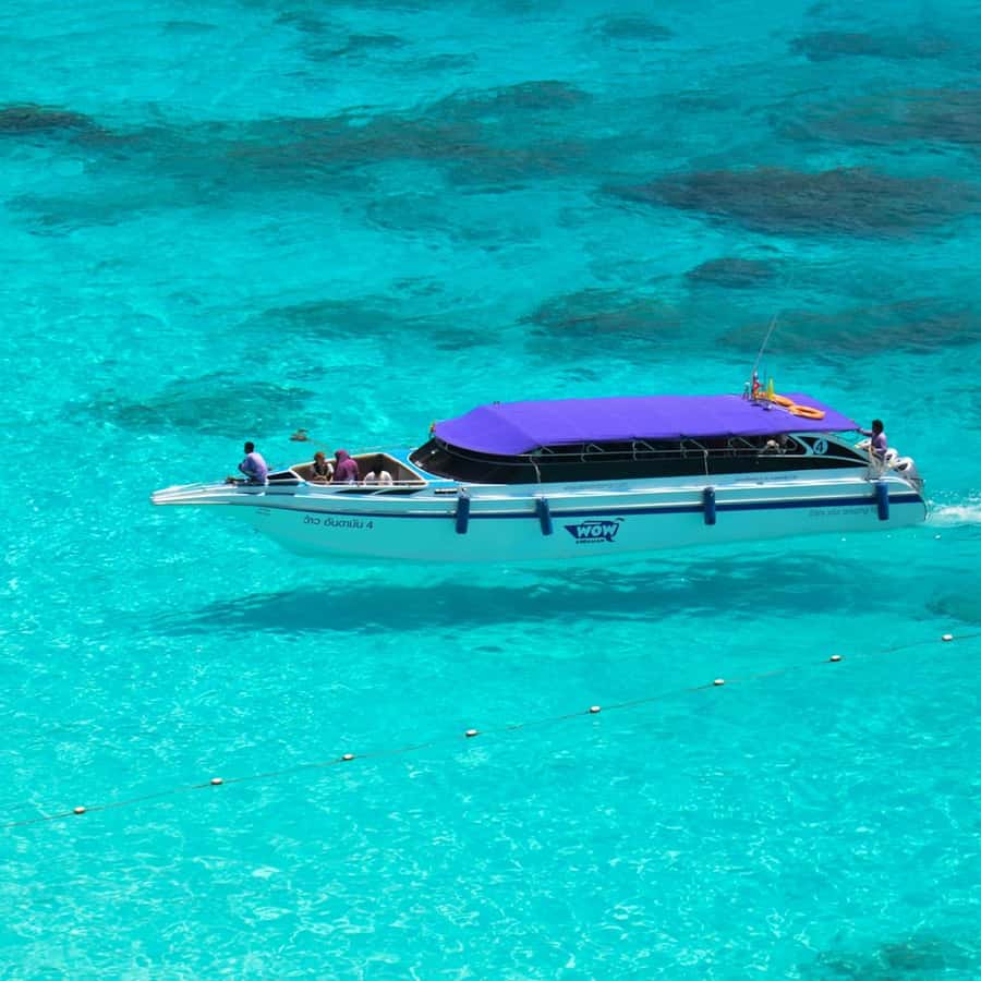 Phuket/Khao Lak: Snorkeling Trip to Phi Phi & Bamboo Islands - Camel Rock and Monkey Beach