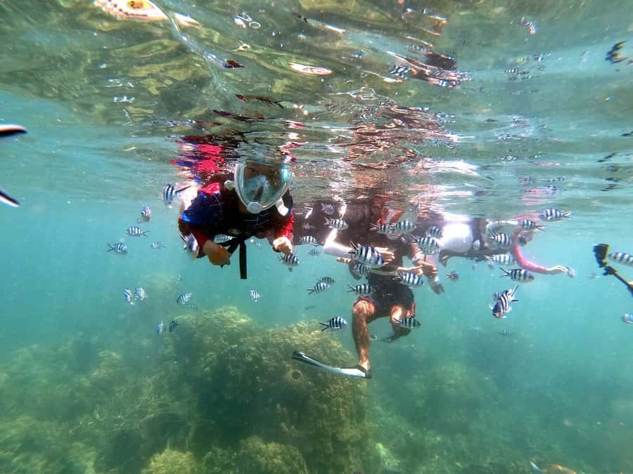 Phuket: Relaxed Phi Phi & Khai Islands Beach Snorkeling Tour - Loh Samah Bay and the Maya Bay visit
