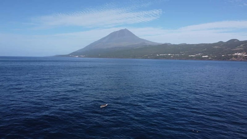 Pico island: guided kayak and snorkel tour - Key points at a glance