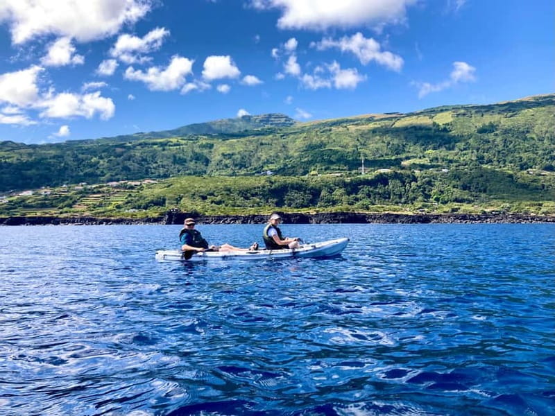 Pico island: guided kayak and snorkel tour - The 30-minute swim and snorkel stop