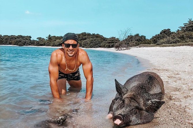 Pig Island Experience By Speed Boat, Snorkeling, Kayaking Relaxing on the Beach - Koh Tan snorkeling: pleasant, but keep expectations modest
