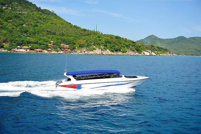 Pig Island Experience By Speed Boat, Snorkeling, Kayaking Relaxing on the Beach - Group size and the question of value