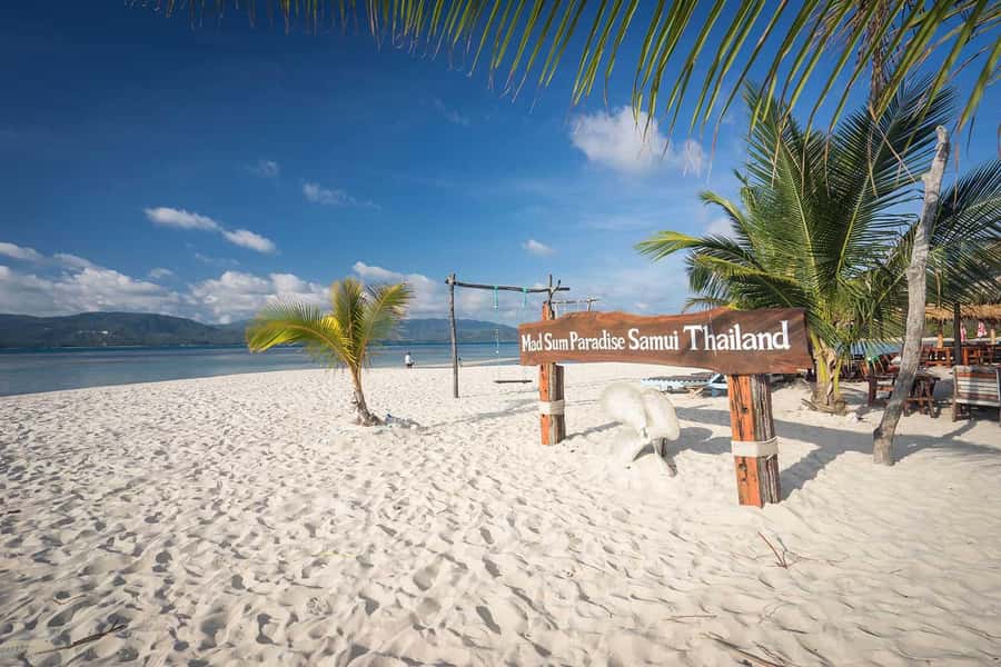 Pig Island(Koh Mudsum) and Koh Tan Half Day Snorkeling Tour - Koh Mudsum: one hour with the pigs
