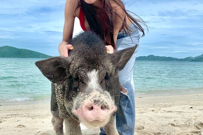 Pig Island Tour by Speedboat with Snorkeling - Snorkeling near Koh Tan is the variable part