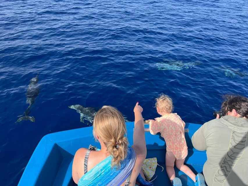 Pizzo: Fishing, Snorkeling, Dolphin Watching - A three-hour taste of Calabria from Vibo Marina