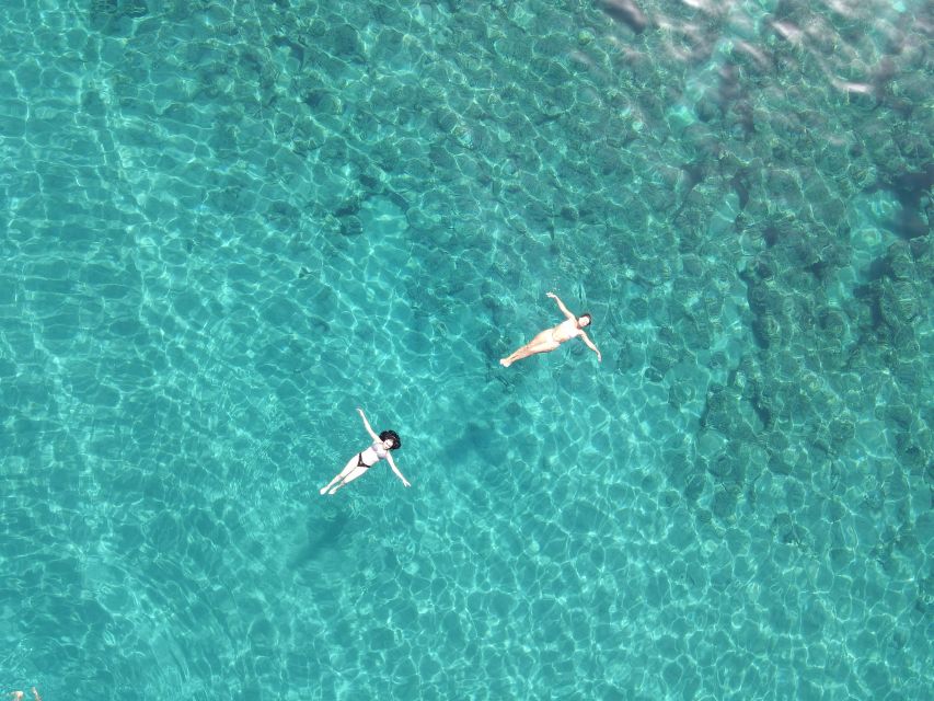 Pizzo: Fishing, Snorkeling, Dolphin Watching - Who will enjoy this boat trip most