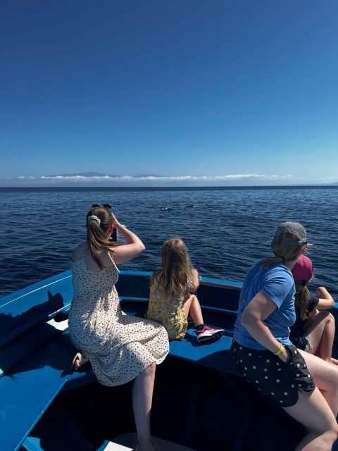 Pizzo: Fishing, Snorkeling, Dolphin Watching - Leaving the harbor and heading into the Tyrrhenian Sea