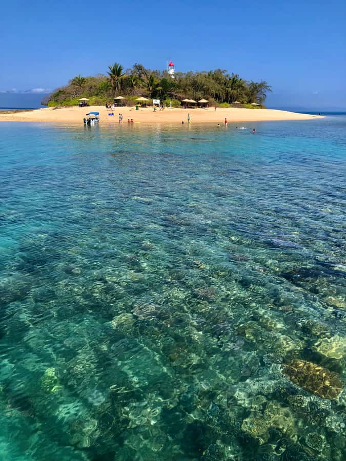 Port Douglas: Half-Day Low Island and Lagoon Snorkeling Tour - Why Low Isles works well as a half-day reef trip