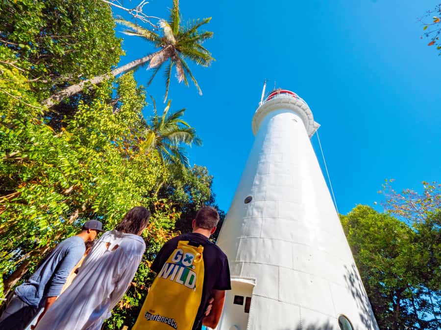 Port Douglas: Low Isles Glass Bottom Boat & Snorkeling Tour - What the four-hour schedule feels like