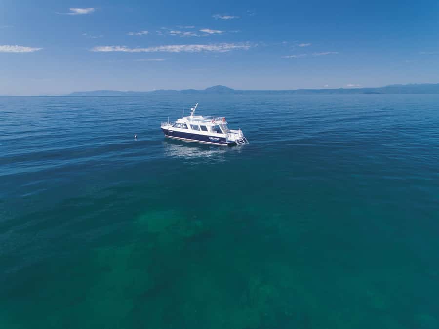 Port Douglas: Low Isles Glass Bottom Boat & Snorkeling Tour - Who should book the Calypso XI trip
