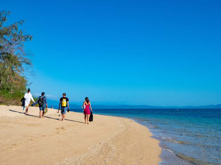 Port Douglas: Low Isles Glass Bottom Boat & Snorkeling Tour - Low Isles gives you more than one way to see the reef