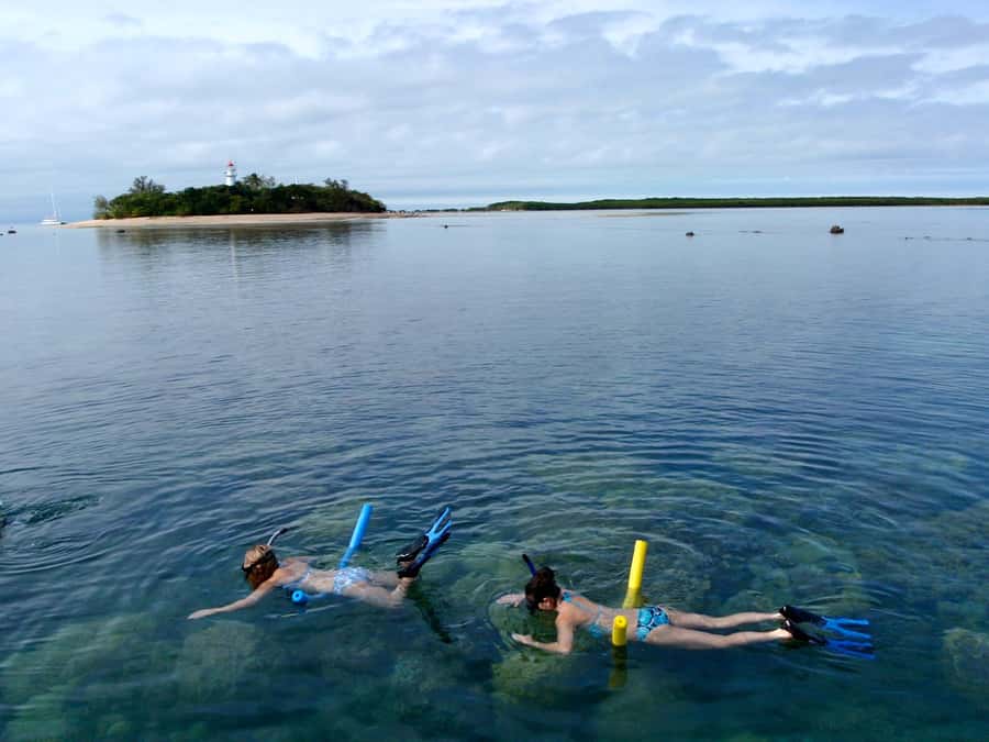 Port Douglas: Low Isles Reef Snorkeling Tour - Ninety minutes at the exclusive mooring