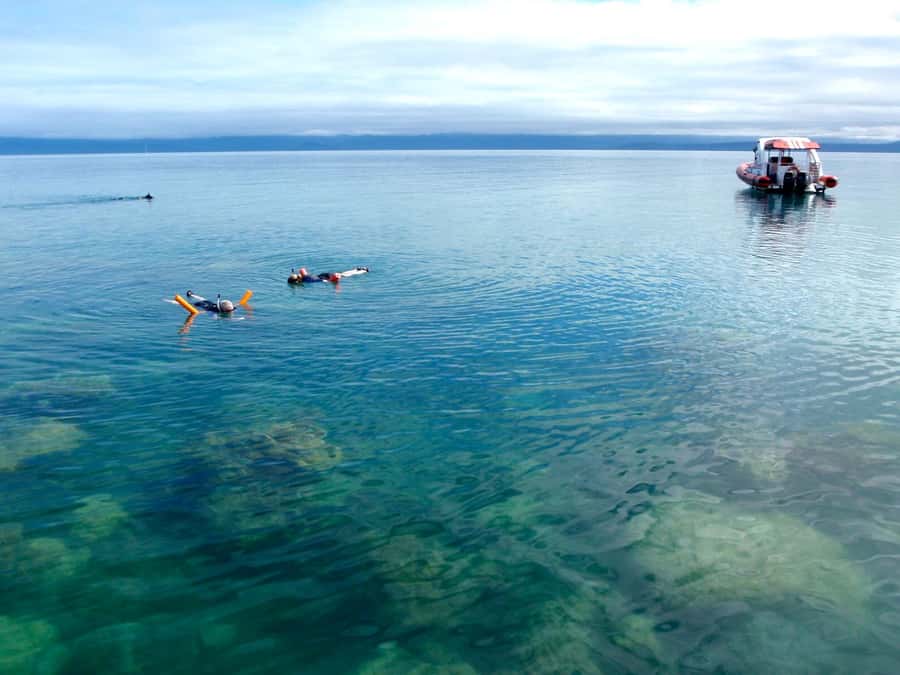 Port Douglas: Low Isles Reef Snorkeling Tour - Equipment and safety support