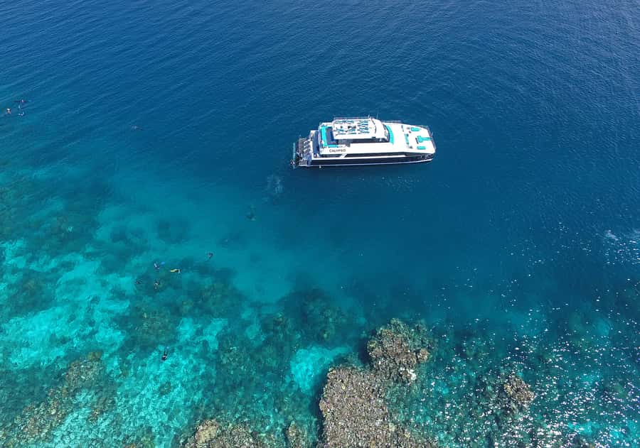 Port Douglas: Outer Barrier Reef Snorkel and Dive Options - Snorkeling, guided tours, and scuba options