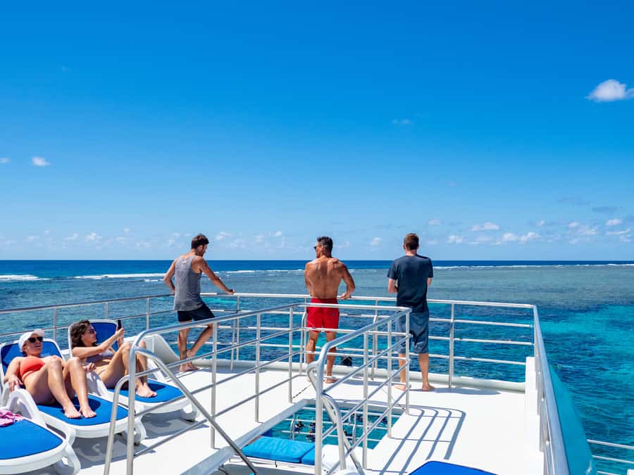 Port Douglas: Outer Barrier Reef Snorkel and Dive Options - Food, drinks, and breaks between water sessions