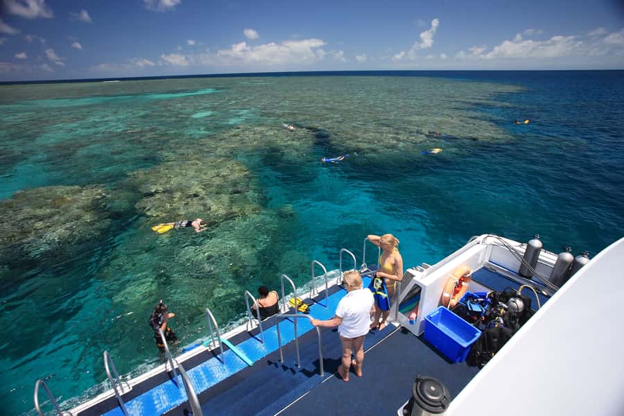 Port Douglas: Outer Barrier Reef Snorkel and Dive Options - Is the $174 price good value?