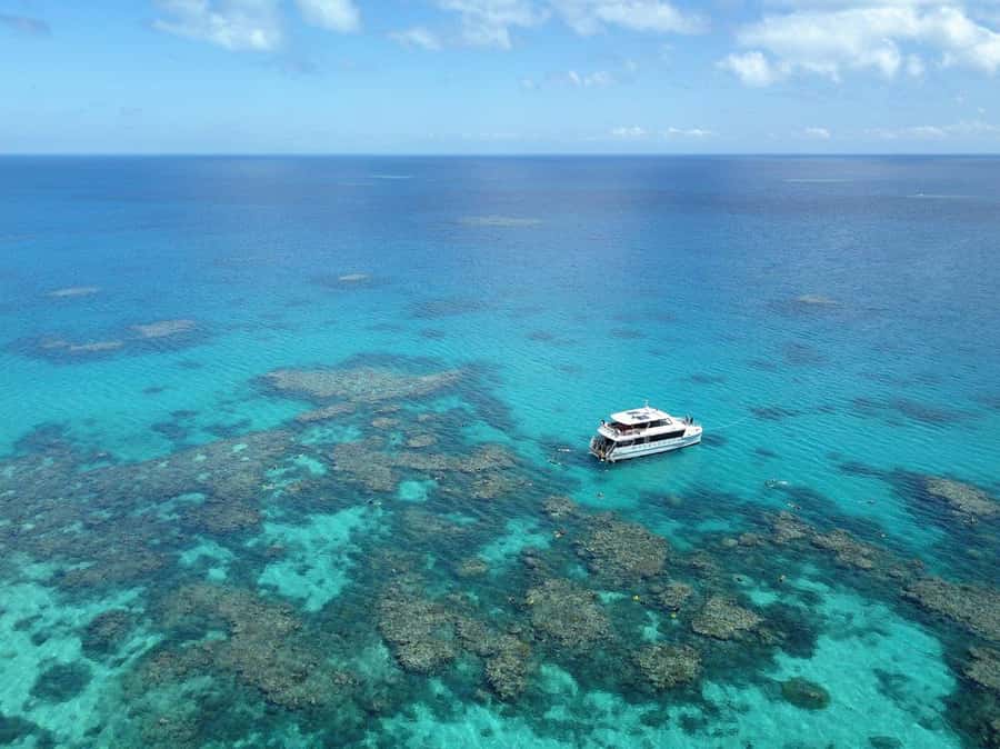 Port Douglas: Outer Great Barrier Reef Snorkeling Cruise - Why this Port Douglas reef trip feels different