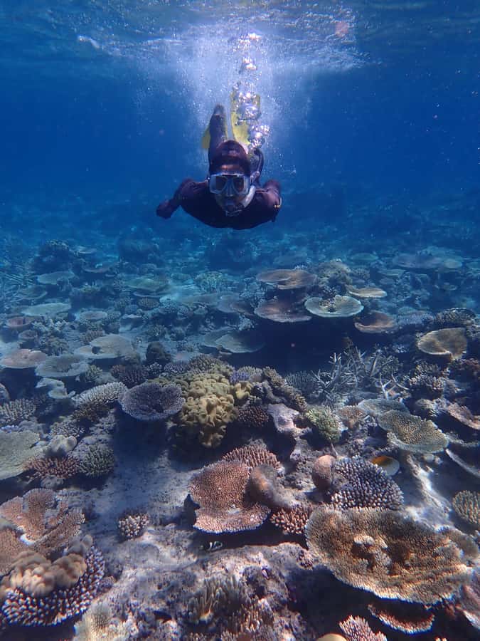 Port Douglas: Outer Great Barrier Reef Snorkeling Cruise - Who will enjoy Wavelength most?