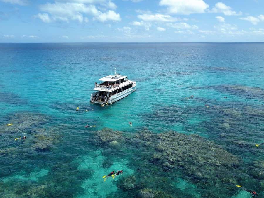 Port Douglas: Outer Great Barrier Reef Snorkeling Cruise - Three Outer Reef sites, three chances to get it right