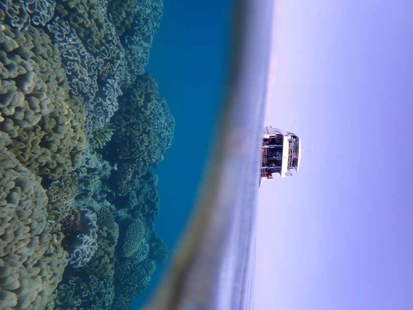 Port Douglas: Outer Great Barrier Reef Snorkeling Cruise - What you eat between snorkel sessions