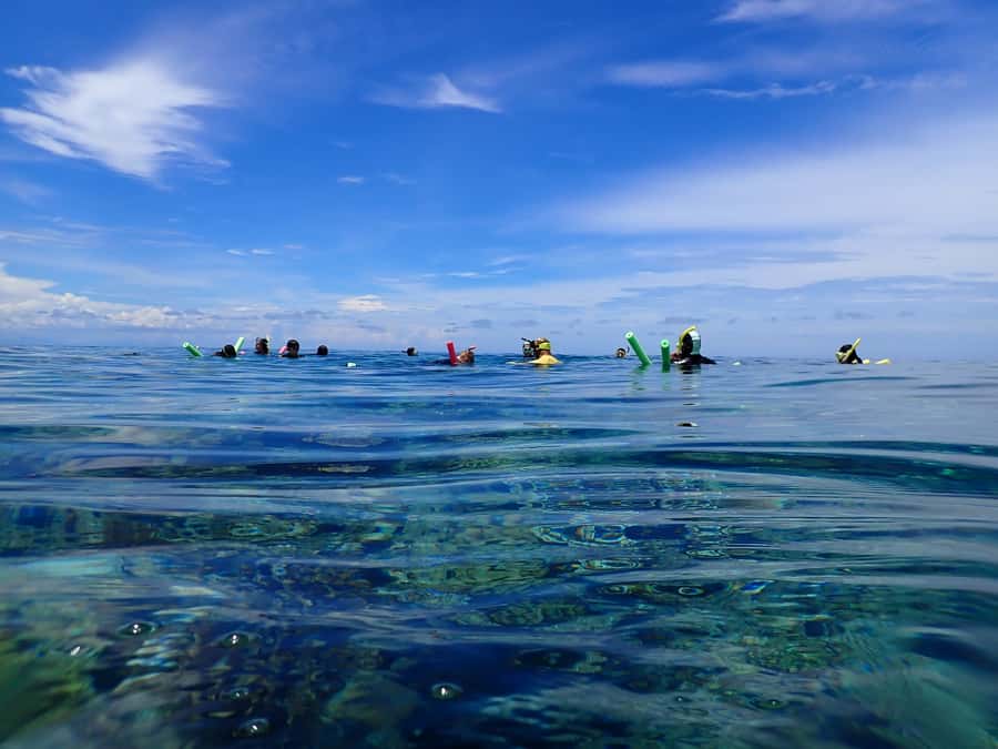 Port Douglas: Outer Great Barrier Reef Snorkeling Cruise - Safety rules are firm for a reason
