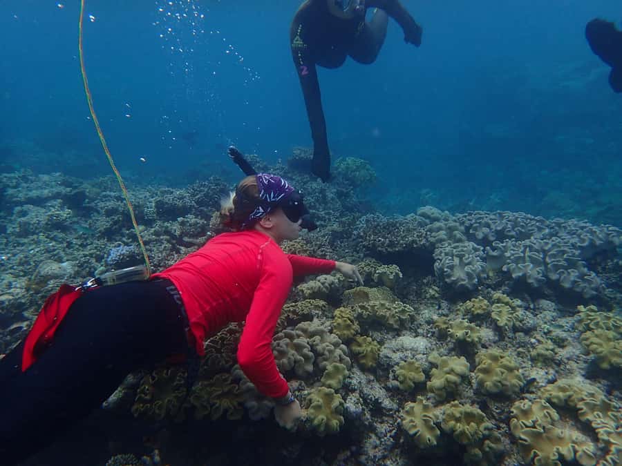 Port Douglas: Outer Great Barrier Reef Snorkeling Cruise - About three hours in the water