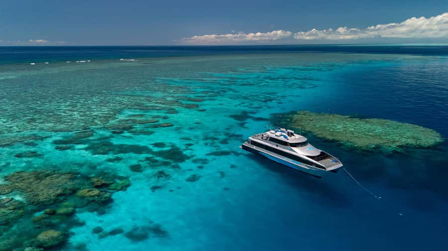 Port Douglas: Silversonic Great Barrier Reef Dive & Snorkel - Key points at a glance