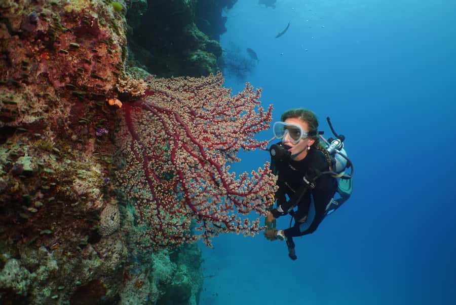 Port Douglas: Silversonic Great Barrier Reef Dive & Snorkel - Food, showers, and the practical comforts