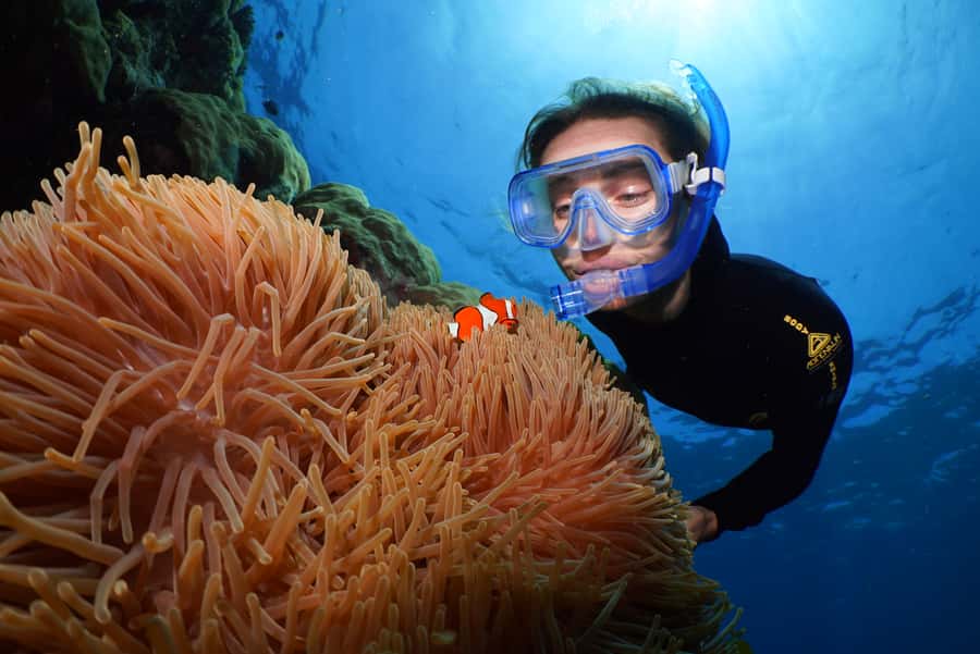 Port Douglas: Silversonic Great Barrier Reef Dive & Snorkel - Boarding in Port Douglas before 8 a.m.