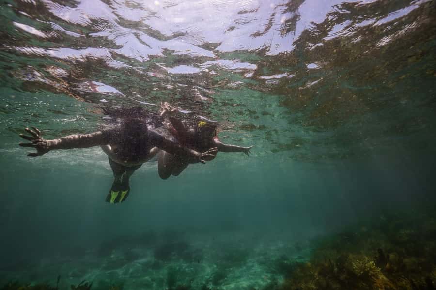 Port Stephens: Port Stephens Island Snorkel Adventure Cruise - What the snorkeling session is really like