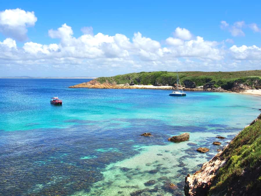 Port Stephens: Port Stephens Island Snorkel Adventure Cruise - Choosing among Cabbage Tree, Broughton, and Fingal Islands
