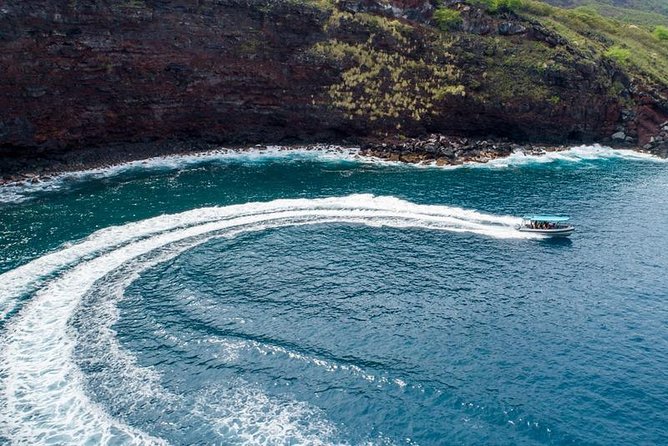 Premium Kona Coast Morning Snorkel - Why the Morning Timing Works Well