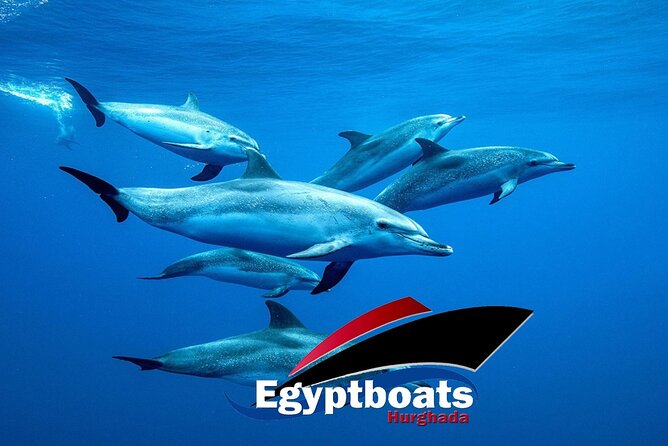 PRIVATE! | 4-hour Speed Boat Trip | Swim With Dolphins, Snorkeling & Island - A fast private start from Hurghada Marina