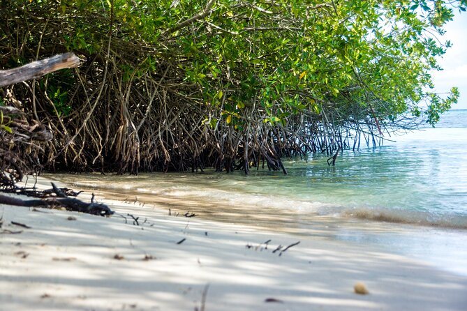 Private Aruba Beach Hop and Snorkel Experience - Baby Beach: Calm Water and Easy Swimming