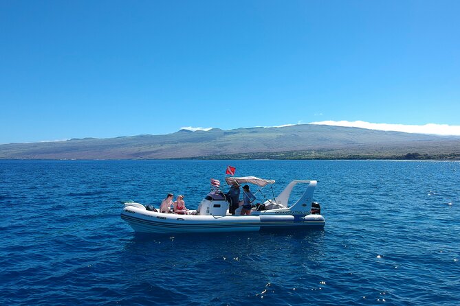Private Big Island Snorkeling - Key points at a glance