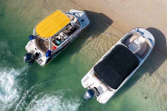 Private Boat & Snorkeling Adventure on Aruba’s Crystal Coast - Malmok Reef and Aruba’s Fish