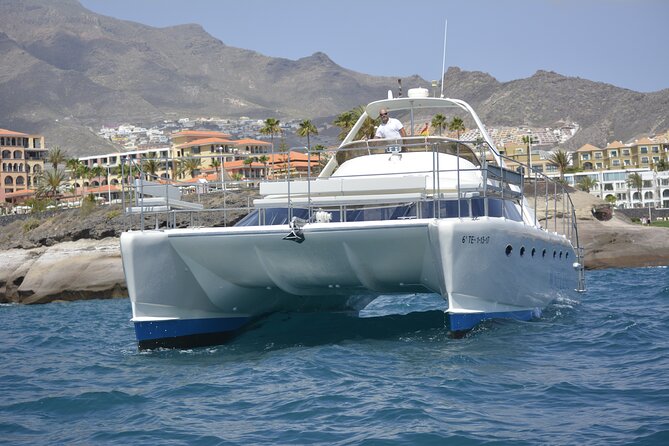Private Catamaran Charter with Transfer, Buffet and Snorkeling - Choosing your own rhythm on the water