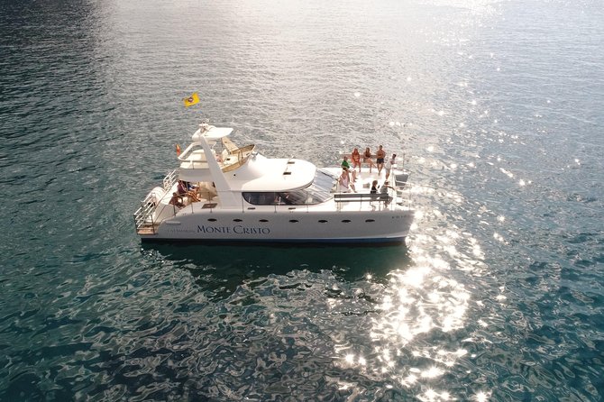 Private Catamaran Charter with Transfer, Buffet and Snorkeling - Watching whales and dolphins off Tenerife