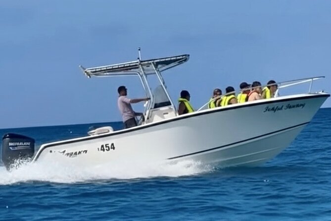 Private catamaran sail & snorkel - What the snorkeling portion is like