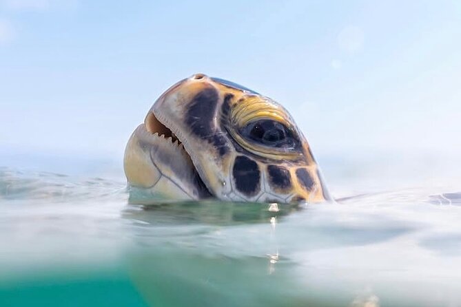 Private catamaran sail & snorkel - The west-coast cruise after swimming