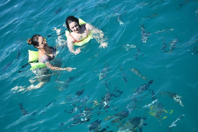 Private Catamaran Snorkeling Cruise in Los Cabos - Who will enjoy this private Cabo cruise most?