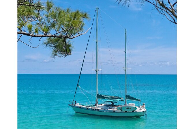 Private Catamaran Swim sail snorkel cliff jumping SUP - Snorkeling in a sheltered cove