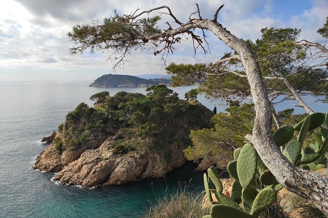 Private Costa Brava Hike and Snorkel from Barcelona with Lunch - Remote coves, clear water, and a practical swim stop