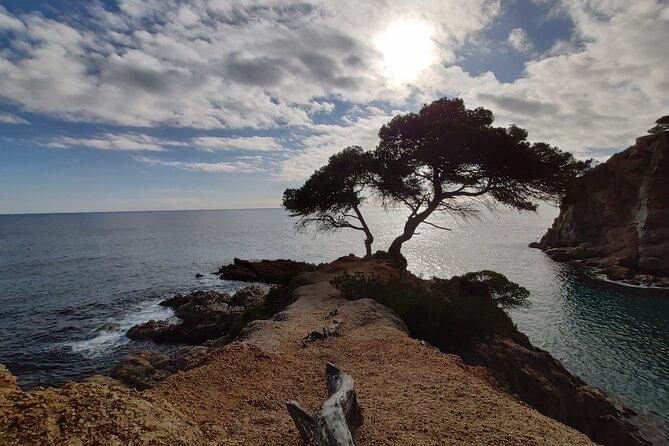 Private Costa Brava Kayak Experience with Snorkel from Barcelona - Leaving Barcelona for the Wild Coast