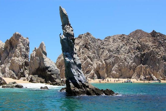 Private Customized Tritoon Boat rental, Snorkeling, Sunset. - Choosing one, two, or three hours