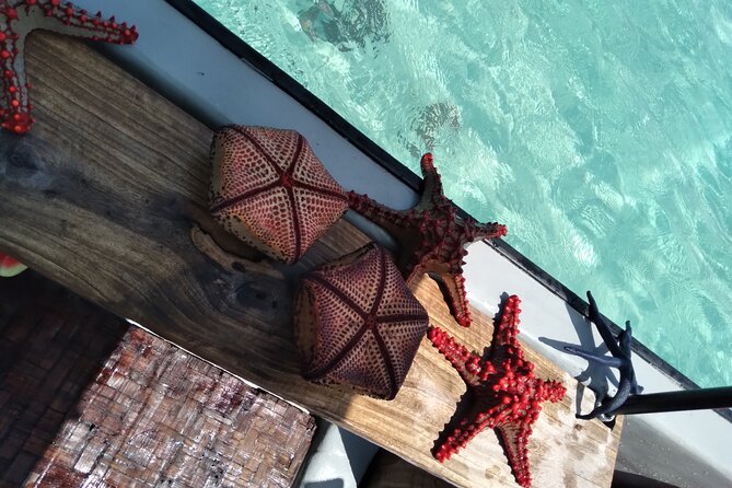 Private Dolphin Tour and Snorkeling at Mnemba Island reef - Three Zanzibar highlights packed into one morning